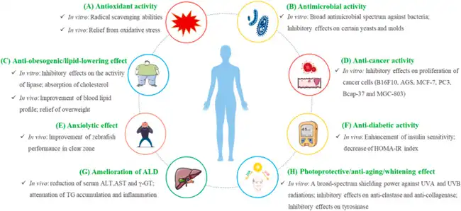 Chlorogenic Acid benefits Chlorogenic Acid benefits