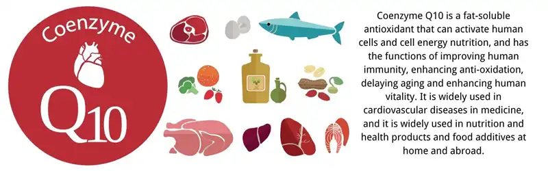 coenzyme q10 coenzyme q10