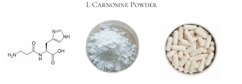 L Carnosine