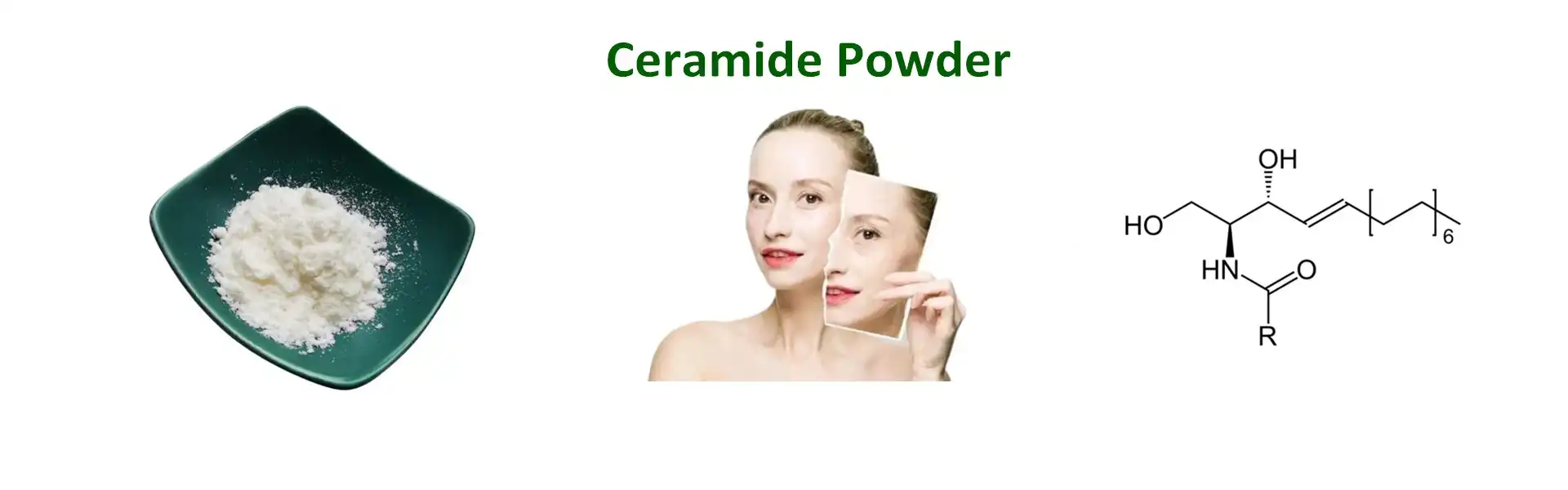 Ceramide Powder