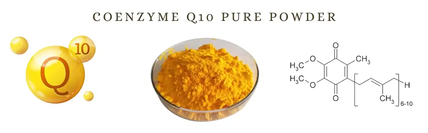 coenzyme q10 pure powder coenzyme q10 pure powder