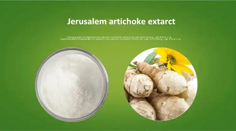 Inulin Powder Inulin Powder