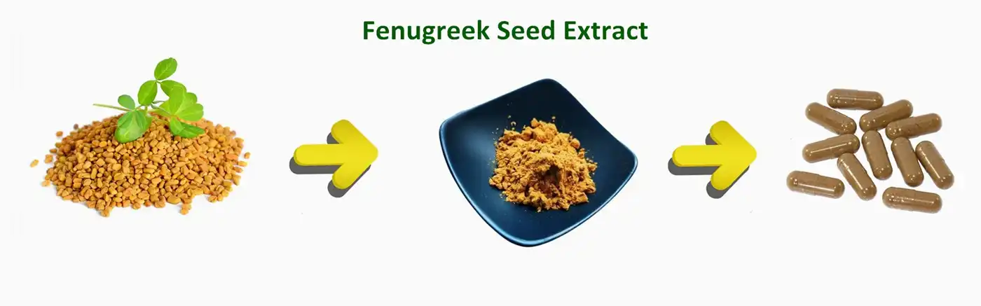 Fenugreek seed extract Fenugreek seed extract