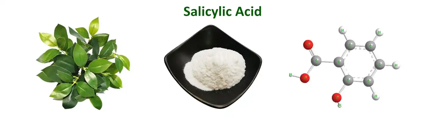 Salicylic Acid capsules Salicylic Acid capsules