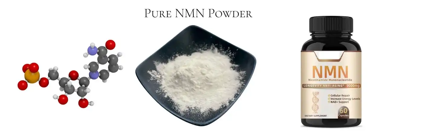 nmn powde nmn powde