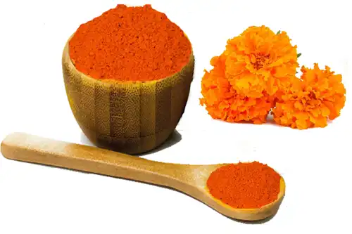 Marigold Extract Marigold Extract