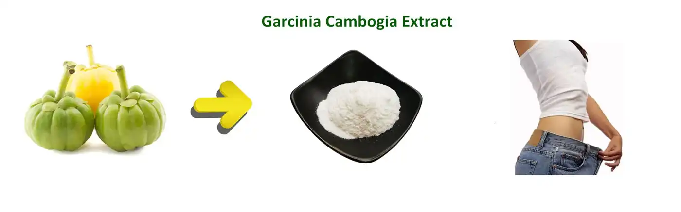 Pure Garcinia Cambogia Extract