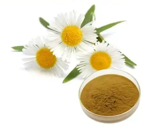 Chamomile extract powder Chamomile extract powder