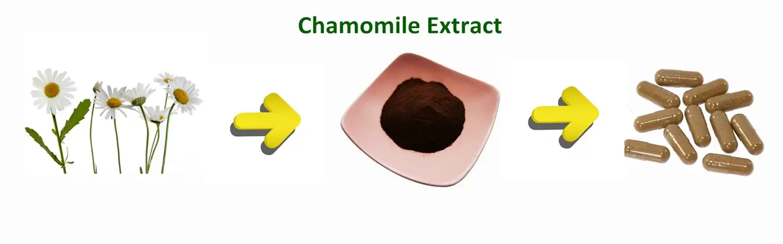 Chamomile extract Chamomile extract
