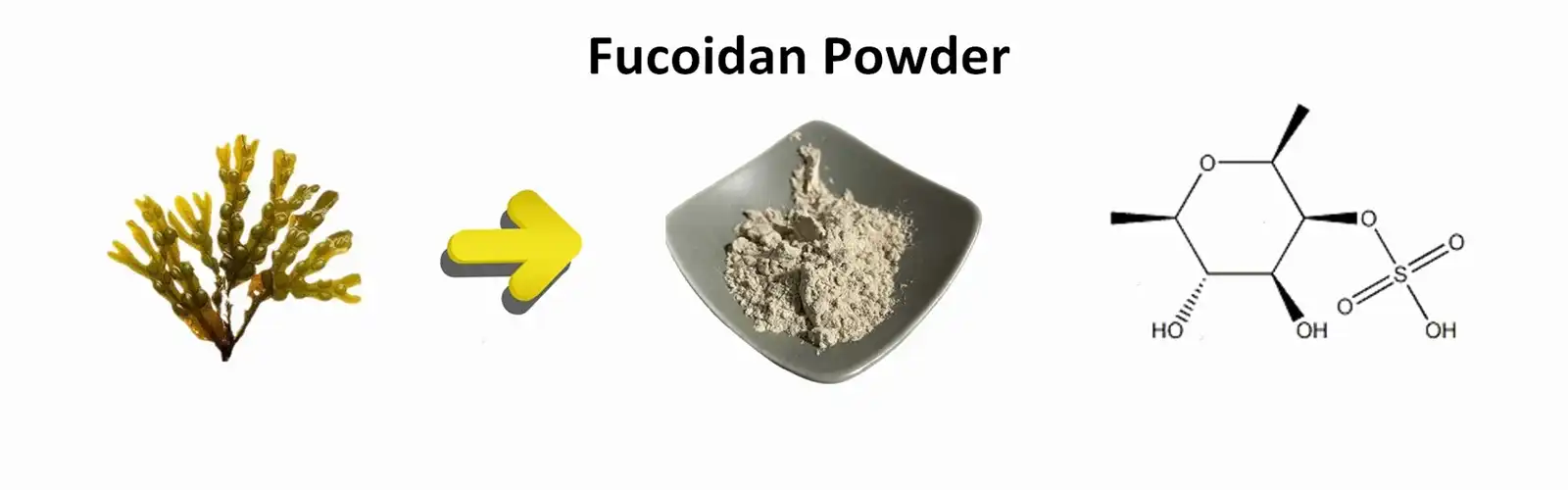 Fucoidan powder Fucoidan powder