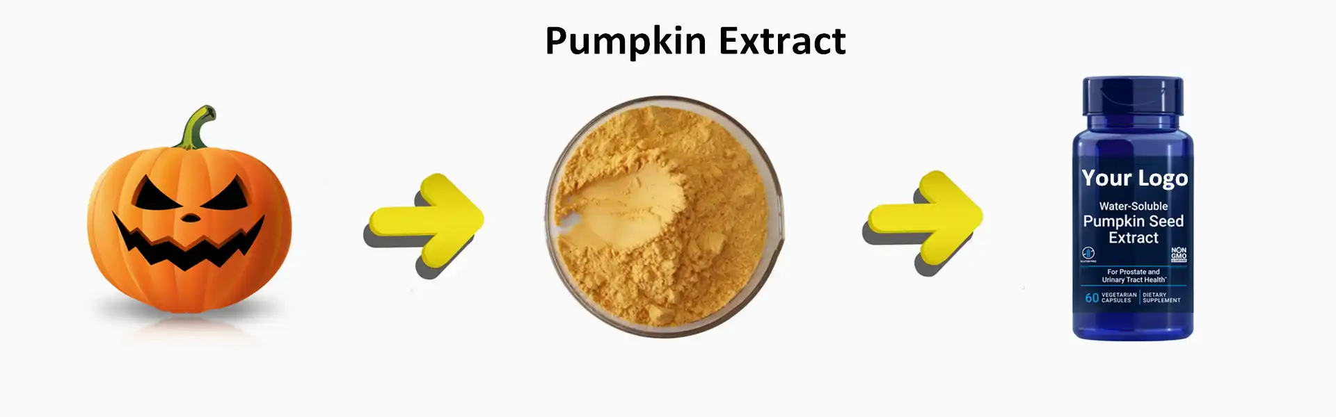 pumpkin extract pumpkin extract
