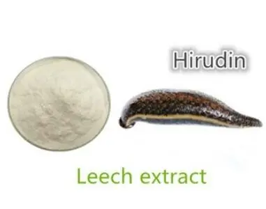 Hirudin powder Hirudin powder