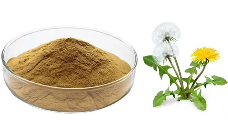Dandelion Extract Dandelion Extract
