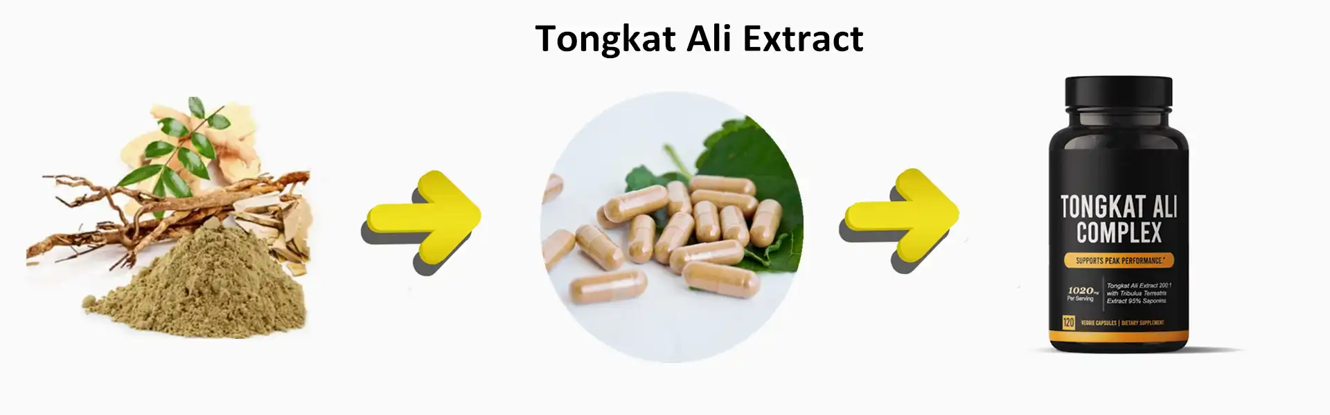 Tongkat Ali Extract