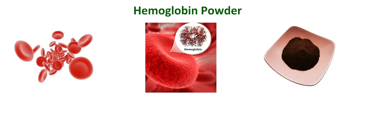 Hemoglobin Powder Hemoglobin Powder