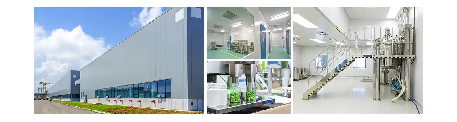 Noopept Powder factory