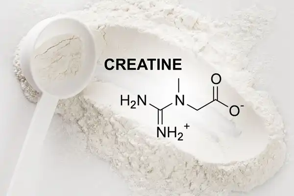 Creatine Monohydrate Creatine Monohydrate