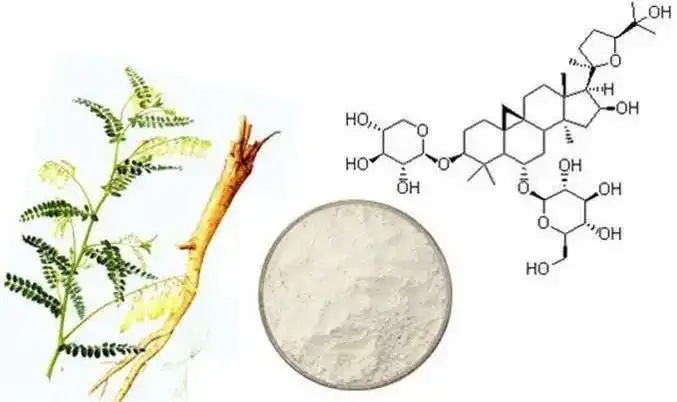 Astragalus root Extract Astragalus root Extract