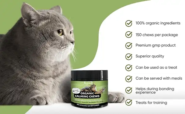 Melatonin for cat Melatonin for cat