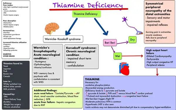 vitamin B1 Function vitamin B1 Function