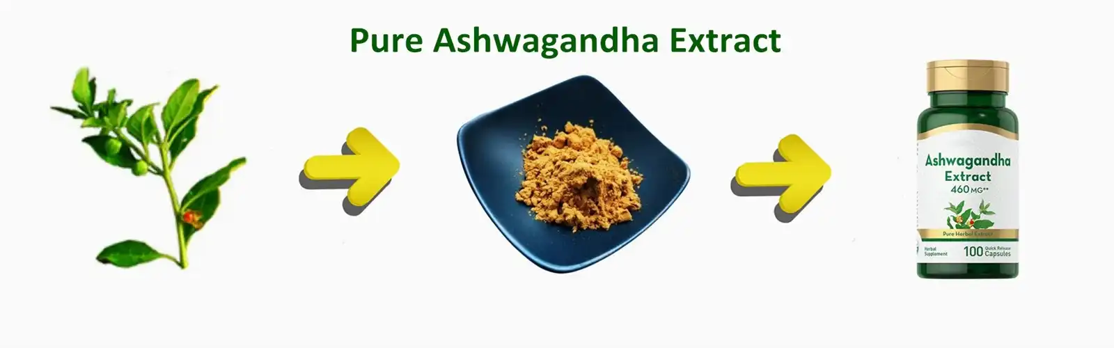 Pure Ashwagandha Extract Pure Ashwagandha Extract