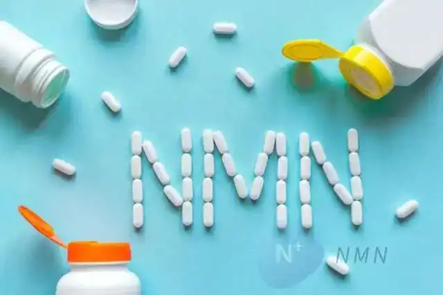 NMN CAPSULES NMN CAPSULES