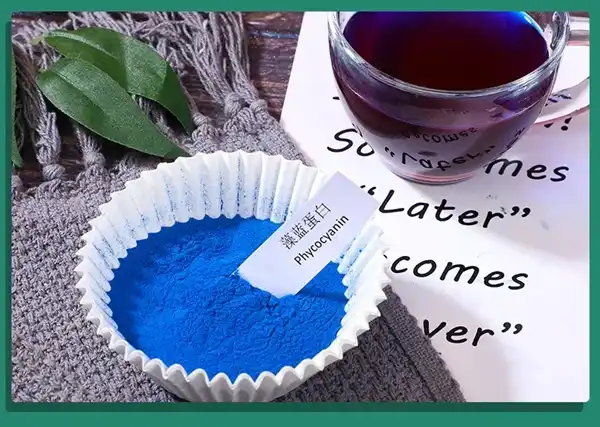 Phycocyanin Powder Phycocyanin Powder