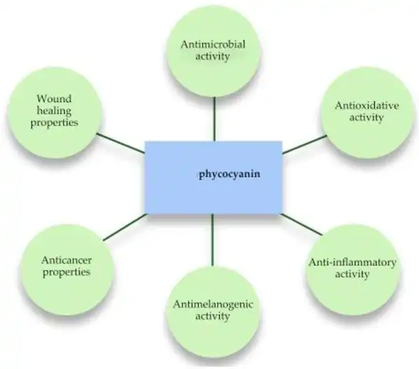 Phycocyanin benefits Phycocyanin benefits