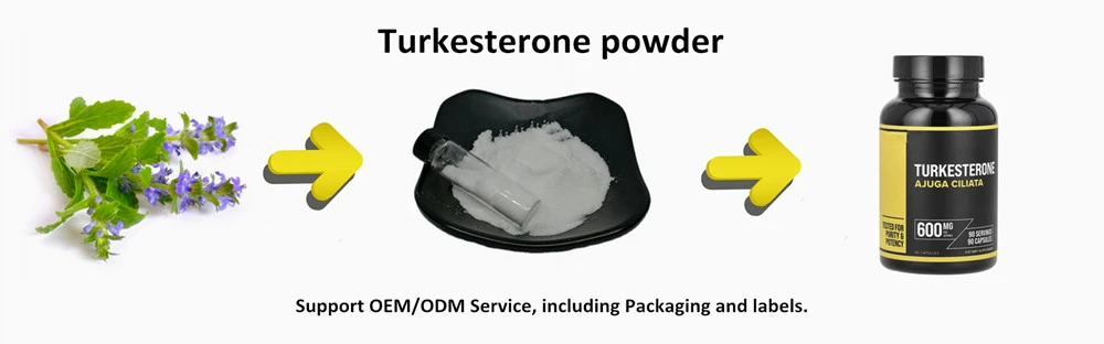 Turkesterone powder