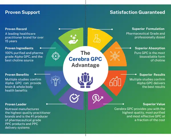 alpha gpc benefits alpha gpc benefits