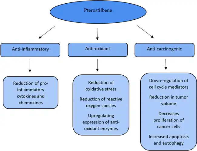 pterostilbene benefits pterostilbene benefits