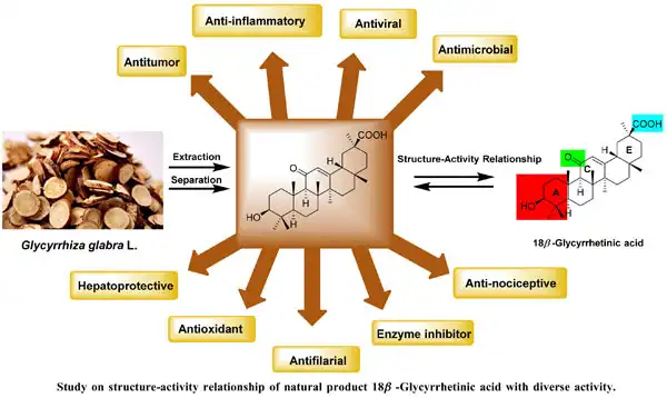 glycyrrhizic acid benefits glycyrrhizic acid benefits