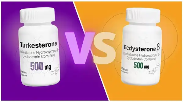 Beta ecdysterone supplements Beta ecdysterone supplements