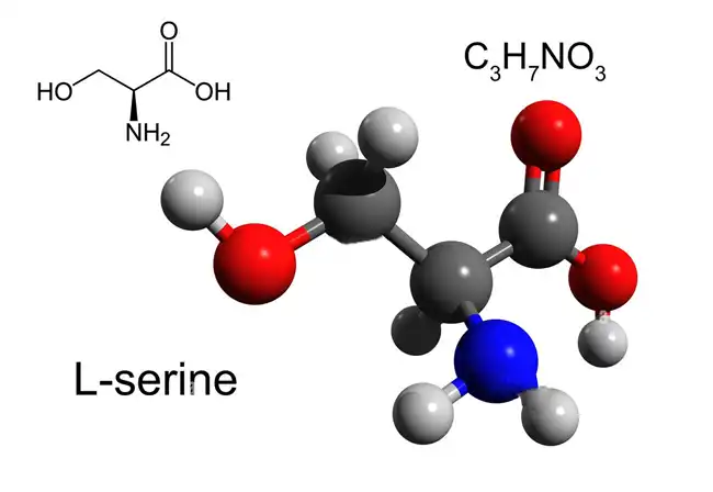 L-Serine L-Serine