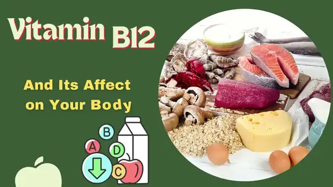 The source of Vitamin B12 The source of Vitamin B12
