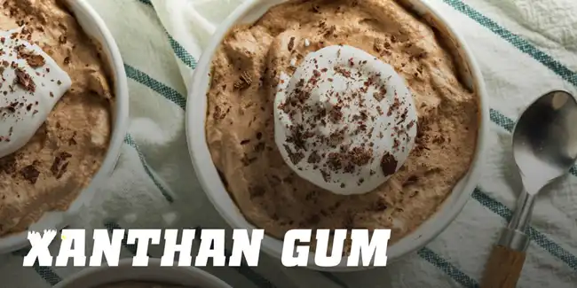 Xanthan Gum Xanthan Gum