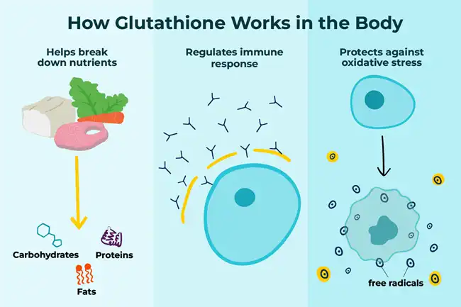 L-Glutathione L-Glutathione