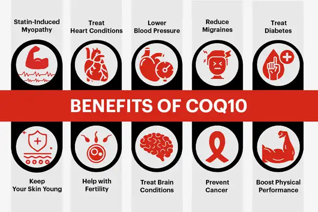 coenzyme q10 benefits coenzyme q10 benefits