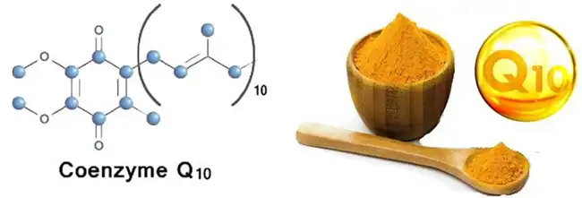 coenzyme q10 powder coenzyme q10 powder