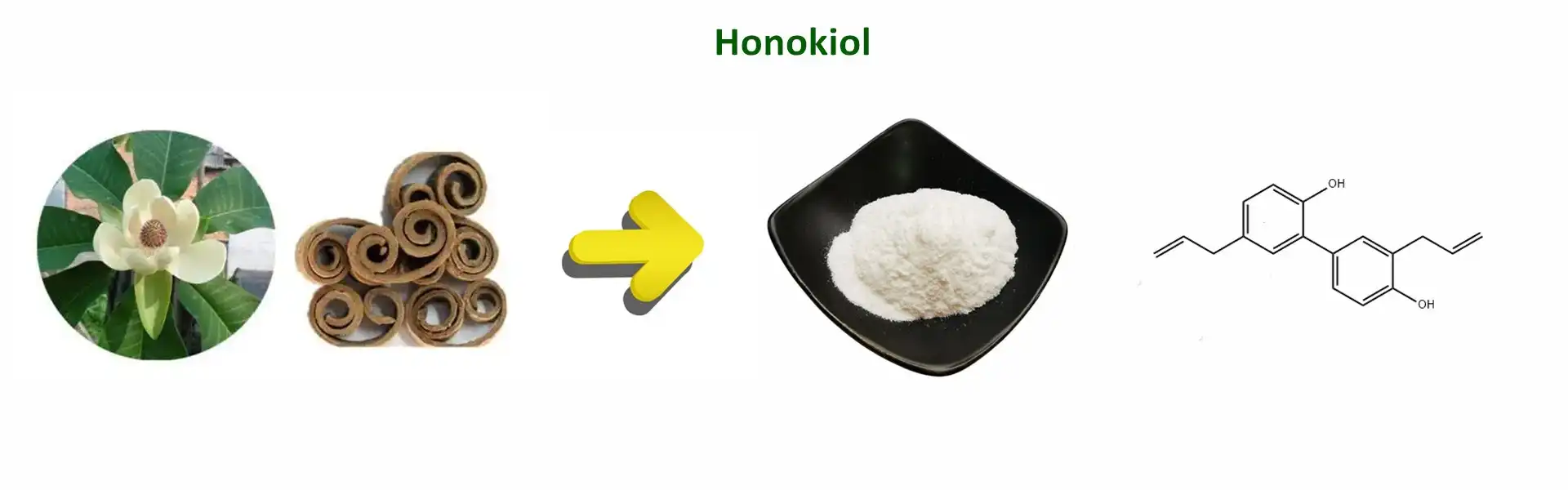 Betulin Powder Betulin Powder