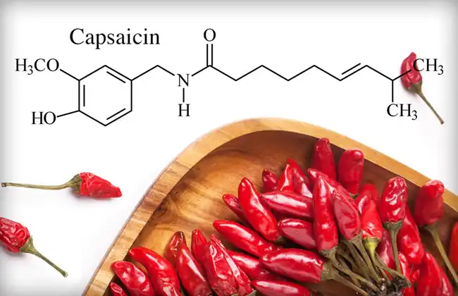 Capsaicin Capsaicin