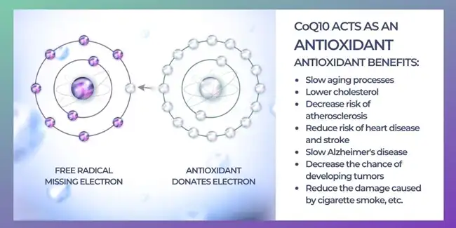 coenzyme q10 powder coenzyme q10 powder