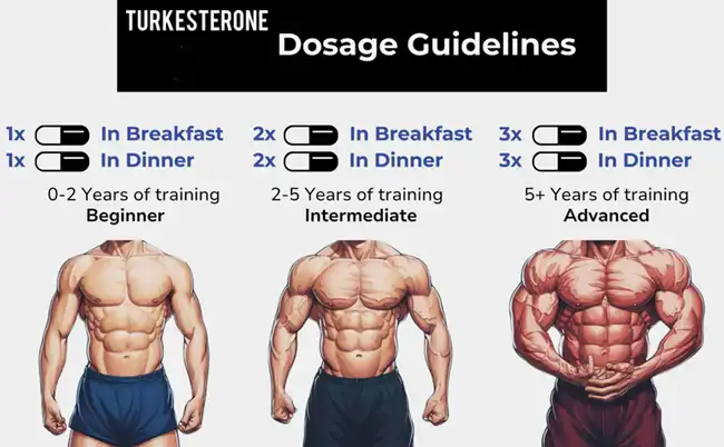 Turkesterone supplements Turkesterone supplements