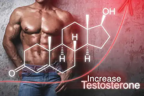 D aspartic acid D aspartic acid