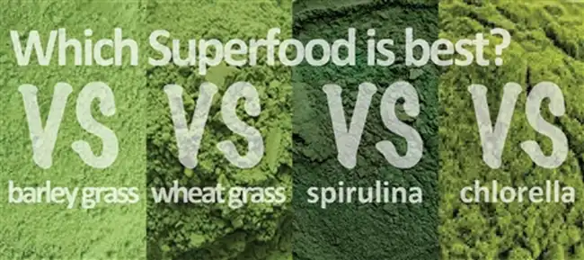 Chlorella Extract