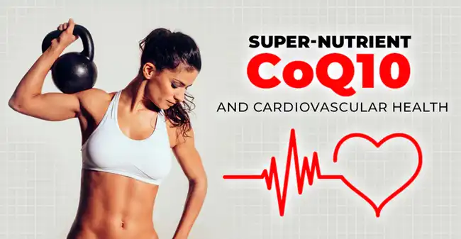 Coenzyme q10 powder