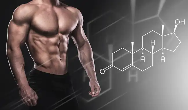 Turkesterone for muscle