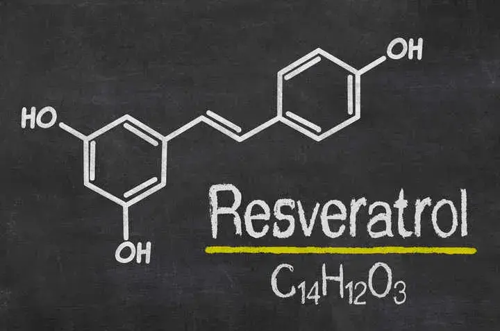 Pure resveratrol powder Pure resveratrol powder