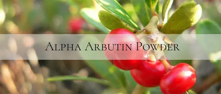 pure alpha arbutin