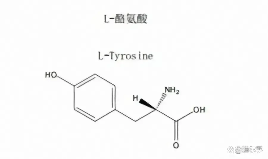 L-tyrosine powder